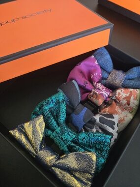 Handmade Pet Collar Bowties Set of 5 with Box | 4" Dogs & Cats